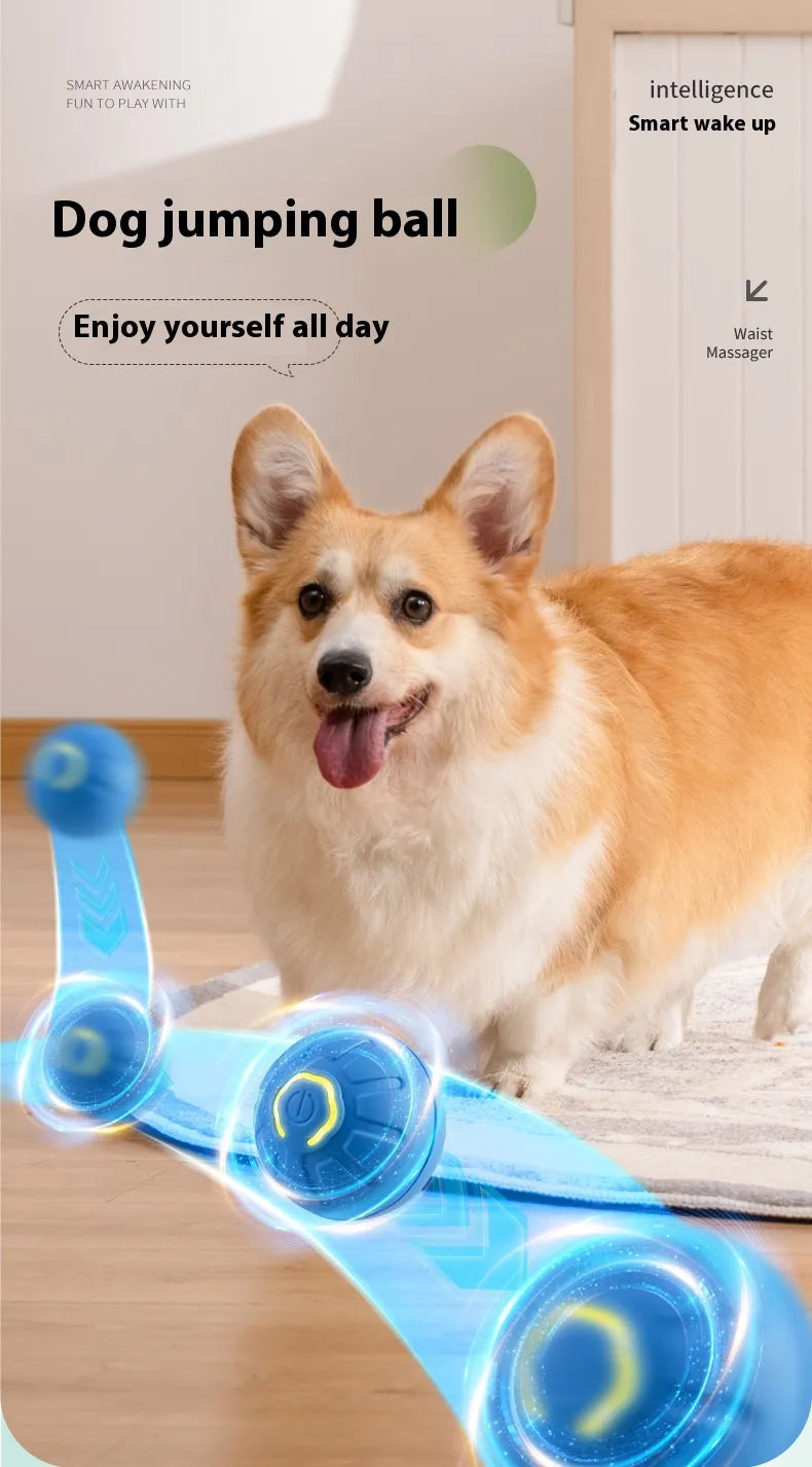 Interactive Dog Toy Ball – Auto-Moving Bouncing Pet Toy for Puppies & Kittens
