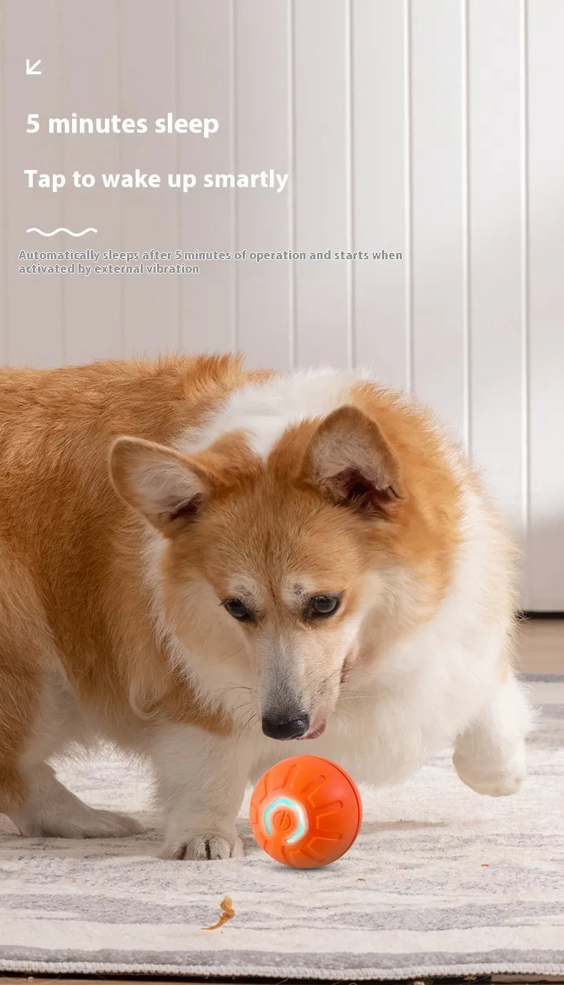 Interactive Dog Toy Ball – Auto-Moving Bouncing Pet Toy for Puppies & Kittens