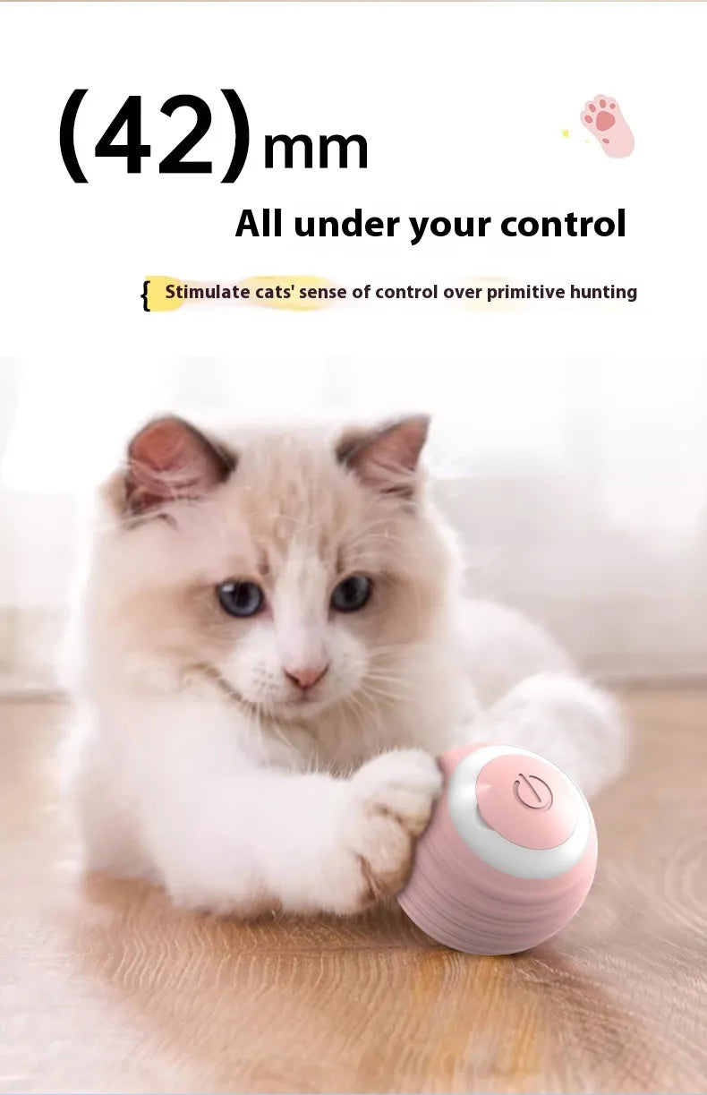 Interactive Dog Toy Ball – Auto-Moving Bouncing Pet Toy for Puppies & Kittens